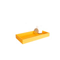 ALINEA Rectangular Tray – Medium –  Model A